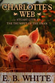 Book cover of Stuart Little (590L)